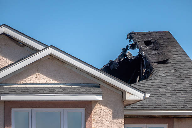 Top rated local Odor Removal specialists in Big Lake, MN